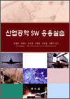 산업공학 SW 응용실습